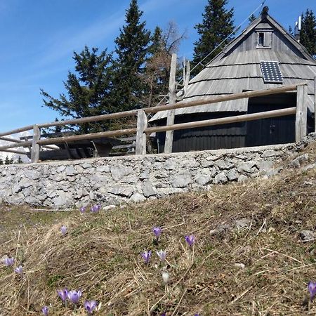 Chalet Resa - Velika Planina Stahovica Kültér fotó