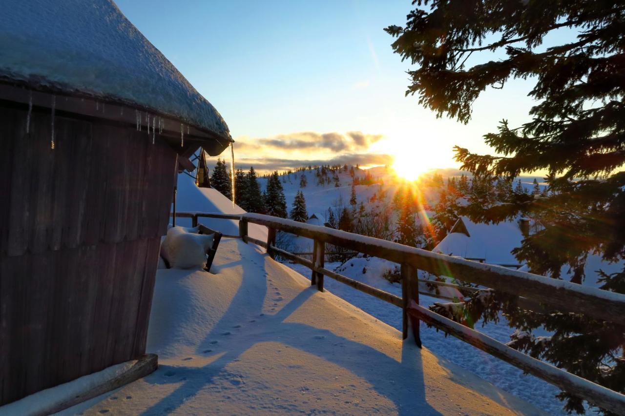 Chalet Resa - Velika Planina Stahovica Kültér fotó
