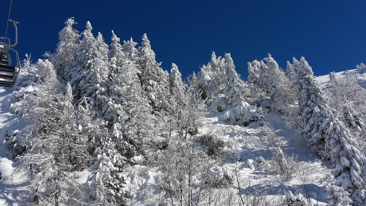Chalet Resa - Velika Planina Stahovica Kültér fotó